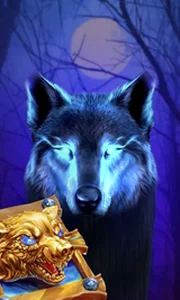 Book Of The Night Wolf