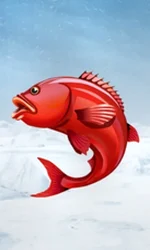 Ice Fishing